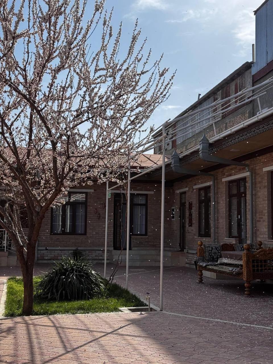 Salomat Guest House Samarkand Exterior photo